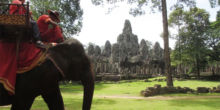Elefant Angkor Kambodscha