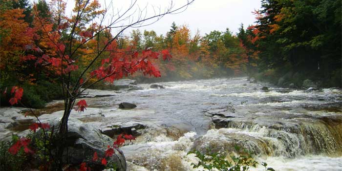 fluss Indian Summer USA