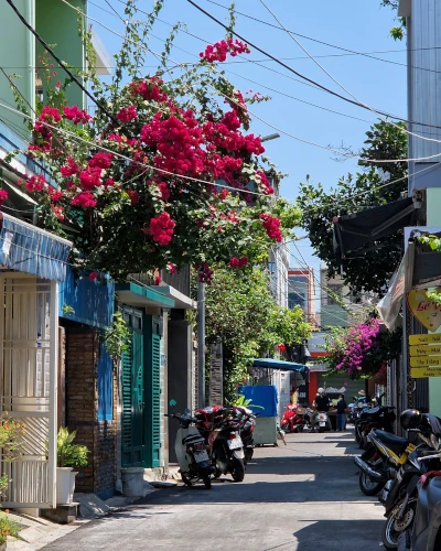 danang-nebenstrasse-vietnam