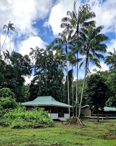 kubah-nationalpark-unterkunft-borneo