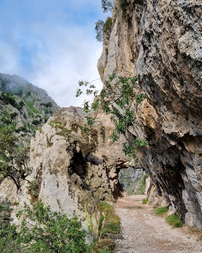 picos-de-europa-spanien-ruta-del-cares-poncebos