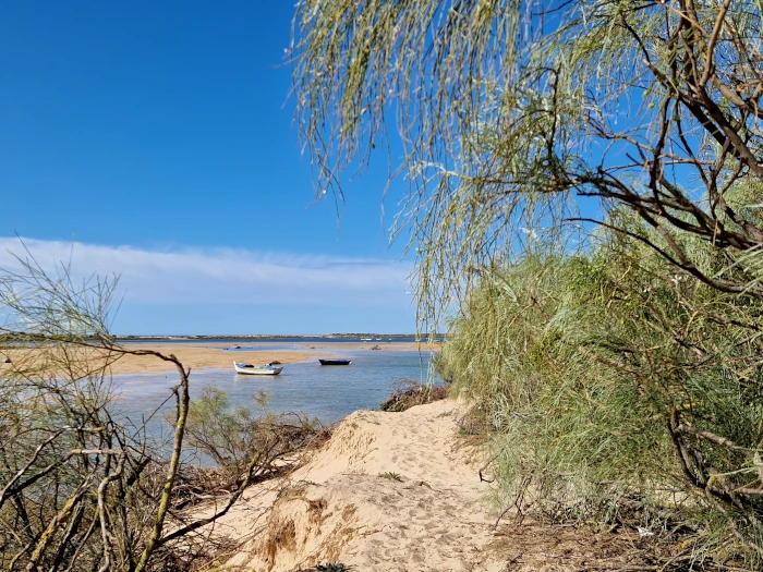 ria-formosa-nationalpark-fischerboot-algarve